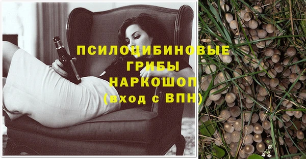 дживик Приозерск