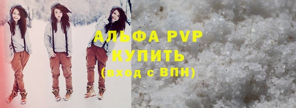 стаф Алзамай