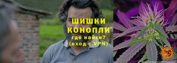 ГАЛЛЮЦИНОГЕННЫЕ ГРИБЫ Алексеевка
