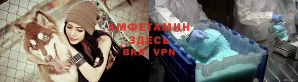 ГАЛЛЮЦИНОГЕННЫЕ ГРИБЫ Алексеевка