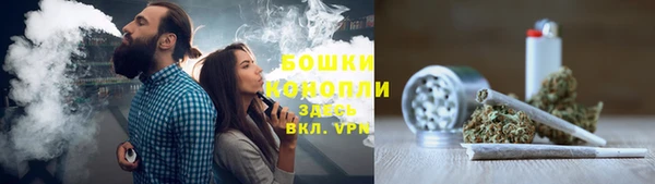 ГАЛЛЮЦИНОГЕННЫЕ ГРИБЫ Алексеевка