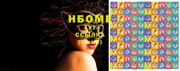 стаф Алзамай